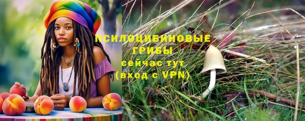 тгк Мегион