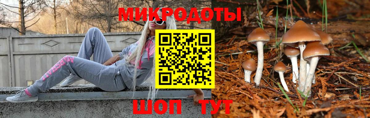 Галлюциногенные грибы прущие грибы  купить наркоту  Курск 