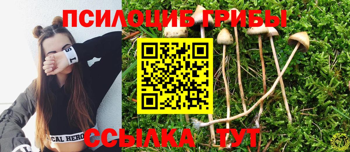 Псилоцибиновые грибы MAGIC MUSHROOMS Курск