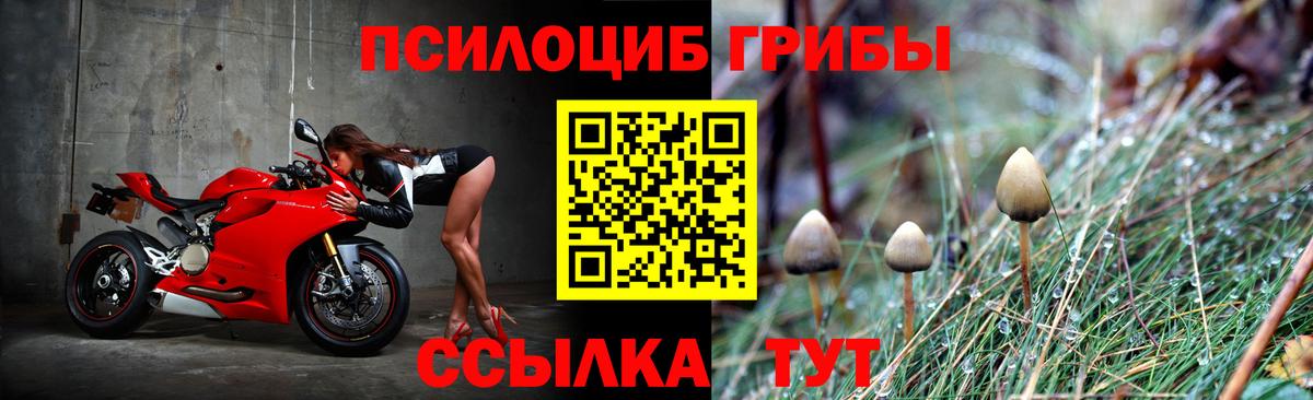 Галлюциногенные грибы мухоморы  Вход с VPN  Курск 